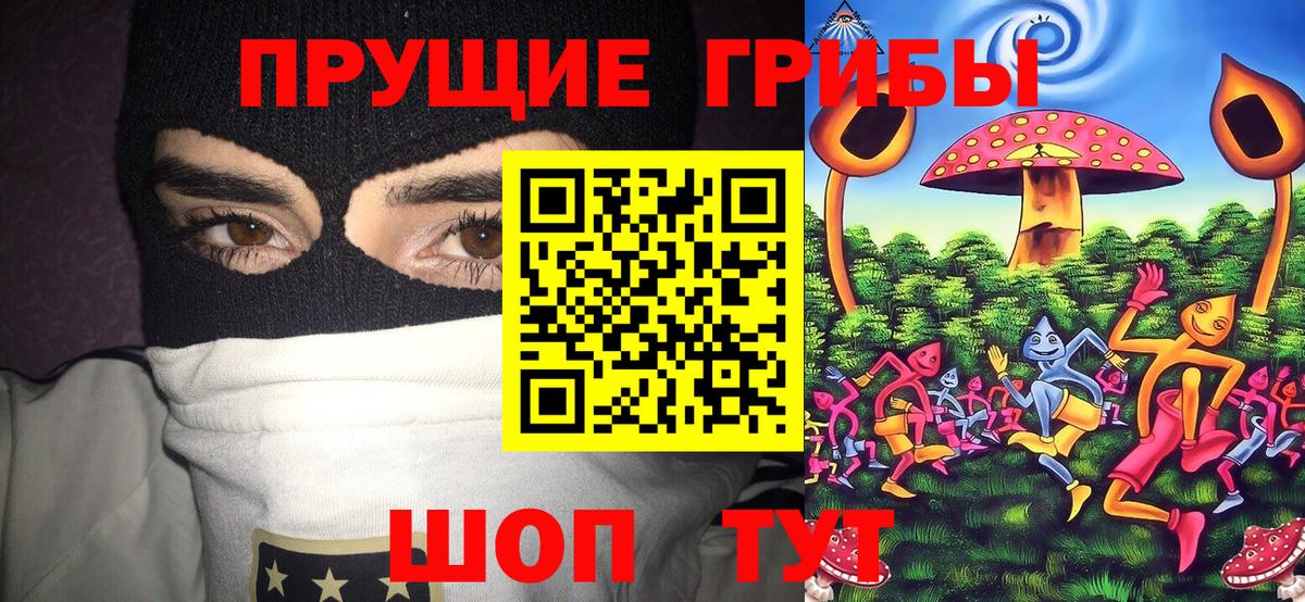 Псилоцибиновые грибы мицелий Кольчугино
