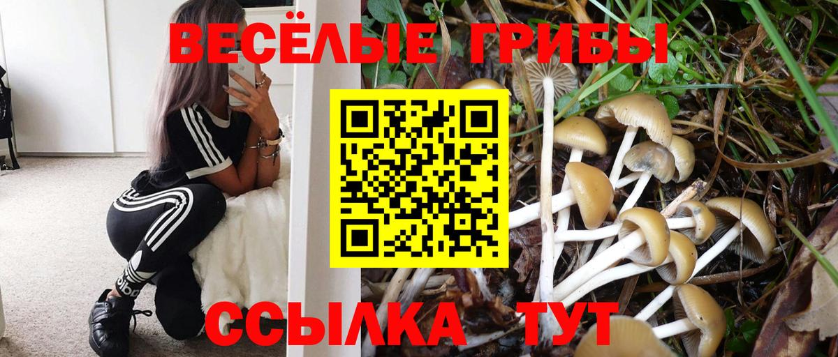 закладки  Вход с VPN  Кольчугино  Галлюциногенные грибы Psilocybine cubensis  Псилоцибиновые грибы Cubensis 